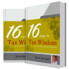 16 Steps to Tax Wisdom